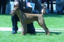 COURTINGTON KARINA