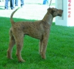 COURTINGTON KASSEL