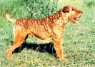 Flaidar