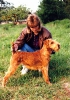 Greta