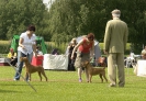 Puppy Class.