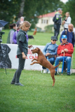 b_160_160_16777215_00_images_stories_-2022Gina_119041145_693761714553584_7137314273611517969_n-498.jpg