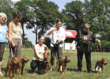 b_160_160_16777215_00_images_stories_Zima-2010_10_7_heekcaro20alle_1.jpg